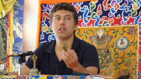 Festiwalowe filmy w Internecie