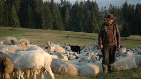 Przedstawiamy szczegółowy program 50.KFF