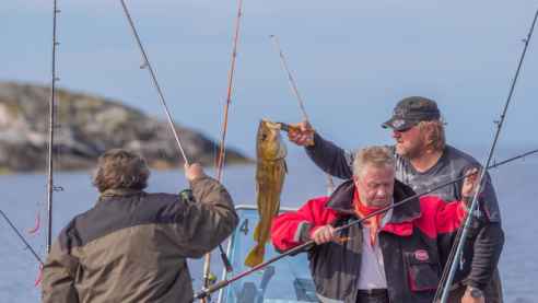 Czech style – Focus on the Czech Republic at the 62. KFF