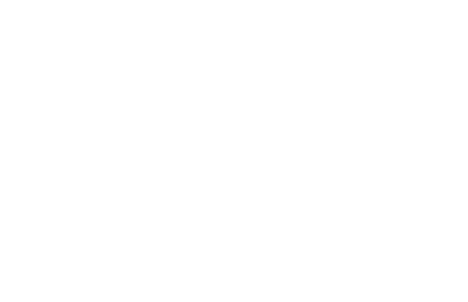 Partner filmu
