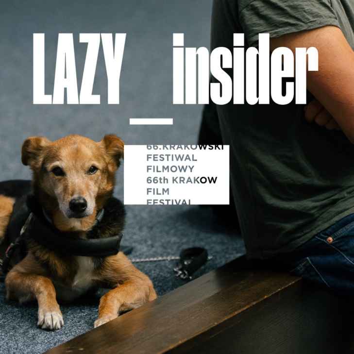 Festival pass LAZY_INSIDER